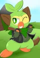 Shinky the grookey