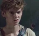 Newt