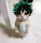 Izuku Midoriya