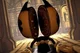 Concept Bendy