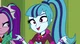 Sonata Dusk
