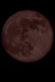 Lunar Eclipse