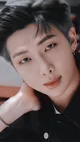 Kim Namjoon 