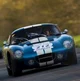 Shelby daytona