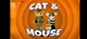 Cat and mouse uk