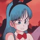 DB - Bulma Briefs