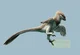 Deinonychus
