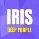 Iris Deep Purple