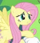 Fluttershy 