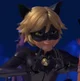 Cat Noir
