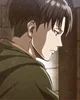 Levi Ackerman 