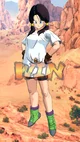 Videl 