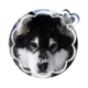 00 - MUTT REQ BOT