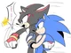 Sonic and shadow 