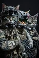 Cat Merc Squad