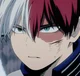 Shoto Todoroki 