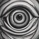 The eye