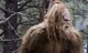 Bigfoot