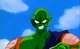 Piccolo Jr