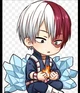 Shoto todoroki