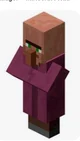 Female Minecraft vil