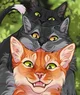 Warrior cats rp 