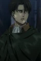 Levi Ackerman 