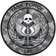 Task Force 141