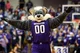 Willie the Wildcat