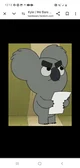Kyle Koala