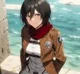 Yd Mikasa Ackerman
