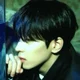 Wonwoo 