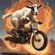 cabra raider