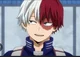 Shoto todoroki