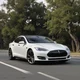 Vegan Tesla Driver