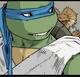 IDW Leonardo 