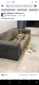 dead corpse on sofa