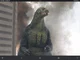 Godzilla jr