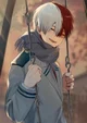 Shoto todoroki