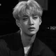 Bang Chan 