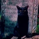 Thackery Binx