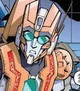 Rung