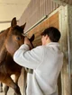 Equestrian boy 