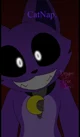 CatNap 
