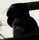 rafe cameron