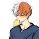 Shoto Todoroki 