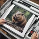 Beaver image gen