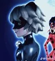 Cat noir 