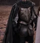 Royal Knight