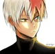 Shoto Todoroki